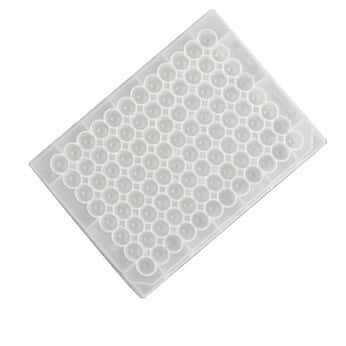 Thermo Scientific™ Nunc™ MicroWell™ 96-Well Non-Treated Microplates, Polypropylene
