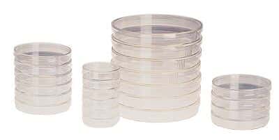Thermo Scientific™ Nunc™ Sterile Cell Culture Petri Dishes with Nunclon™ Delta Surface Treatment