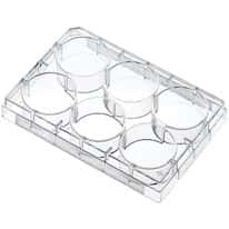 Argos Technologies® Cell and Tissue Culture Plates