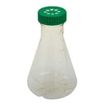 CELLTREAT Vented Sterile Culture Flasks