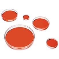 Corning® Sterile Cell Culture Dishes, Polystyrene