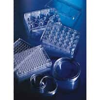 Corning Tissue Culture Plate with Ultra-Low Attachment Surface