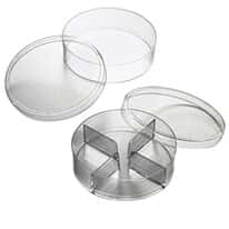 Corning® Gosselin™ PS Seed Germination Culture Dishes