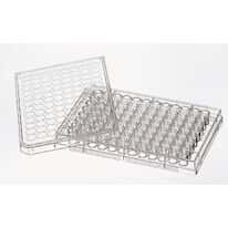 Costar Multi-Well Cell Culture Plates with 96-wells