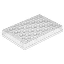 PCRmax PCR Transparent Plates