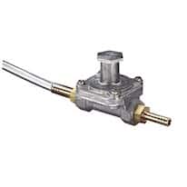Primary Regulators