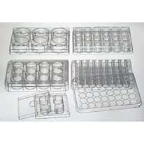 Thermo Scientific Nunc Thermo Scientific Nunclon Delta MultiDishes 15349