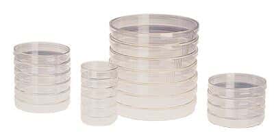 Thermo Scientific Nunc Tissue Culture Dishes