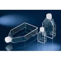 Thermo Scientific™ Nunc™ Sterile Non-Treated Cell Culture Flasks