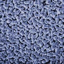 Zefon Silver Membrane Filters