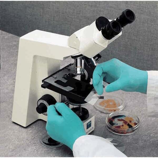 BEST Derma Thin Latex Gloves ColeParmer