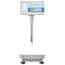 Adam Equipment BCT Industrial Bench Counting Scales with Built-In Advanced Label Printer
