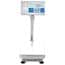 Adam Equipment BKT Industrial Bench Scales with Built-In Label Printer