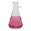 Cole-Parmer® Glass Filtering Flasks