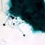 Cole-Parmer® Prepared Microscope Slides, Bacteria and Fungi