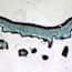 Cole-Parmer® Prepared Microscope Slides, Bacteria and Fungi