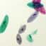 Cole-Parmer® Prepared Microscope Slides, Protozoa and Algae