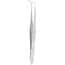 Cole-Parmer Standard Grade Dissecting Tissue and Dressing Forceps