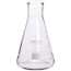 Cole-Parmer® elements™ Glass Erlenmeyer Flasks
