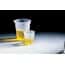 Disposable Griffin Polypropylene Low-Form Beakers