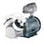 Vacuum Pumps with Explosion-Proof Motors