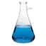 Labglass Filtering Flasks
