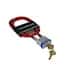 Ohaus Anti-Theft Devices