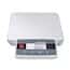 Ohaus® Courier™ Shipping Scales