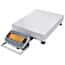 Ohaus® Defender® 3000 Bench Scale with Front Mounted ABS Indicator