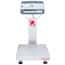 Ohaus® Defender™ 5000 Industrial Scales with ABS Plastic Indicator