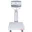 Ohaus® Defender™ 5000 Industrial Scales with Stainless Steel Indicator