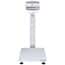 Ohaus® Defender™ 5000 Washdown Industrial Scales