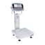 Ohaus Defender® 6000 Hybrid Washdown Bench Scale with Column Mounted Polycarbonate Indicator
