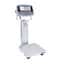 Ohaus Defender® 6000 Hybrid Washdown Bench Scale with Column Mounted Polycarbonate Indicator