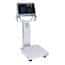 Ohaus Defender® 6000 Hybrid Washdown Bench Scale with Stainless Steel Indicator