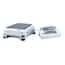 Ohaus Explorer NTEP Approved Toploading Balances