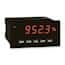 Red Lion PAX Panel Meters