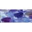 Thermo Scientific Prepared Media Plates