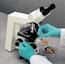 SHOWA Derma Thin Latex Gloves