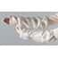 Polyethylene (PE)-Coated Polypropylene (PP) Sleeves