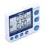 Traceable® Flashing LED Big-Digit Timers