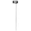 Traceable® Robo™ Thermometers with Calibration